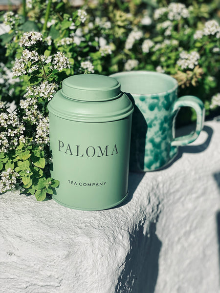 Green Tea Paloma Bra – Prism Seattle