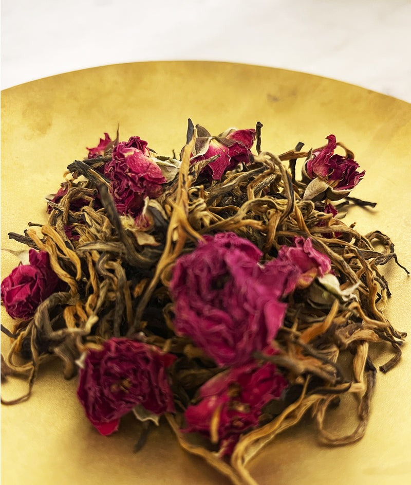 Golden Tips Rose