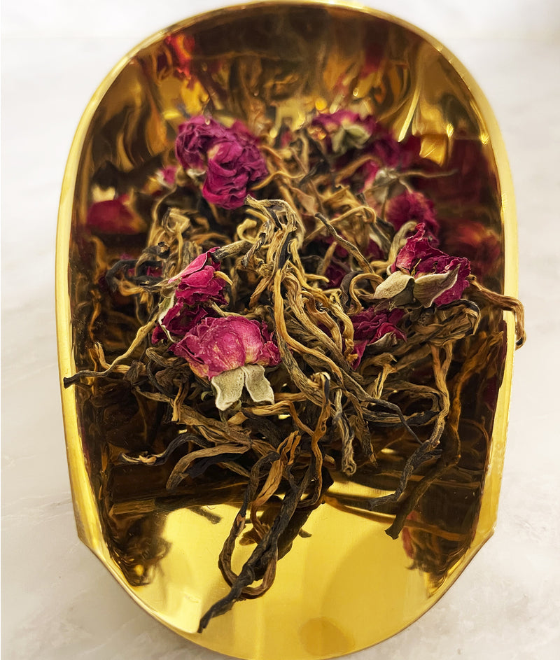 Golden Tips Rose